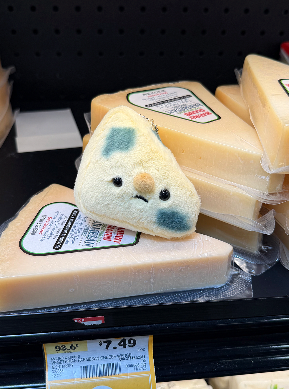 Forgotten Moldy Parmesan Cheese Slice