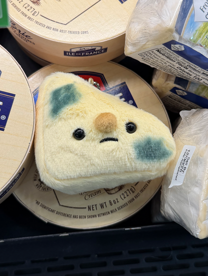 Forgotten Moldy Parmesan Cheese Slice