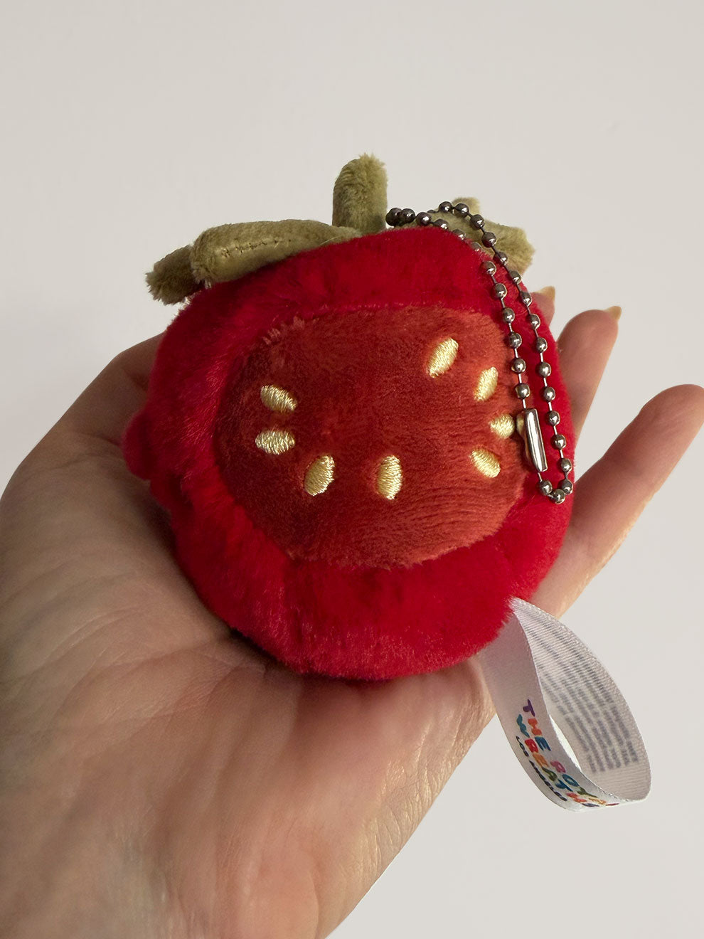 Forgotten Bitten Tomato