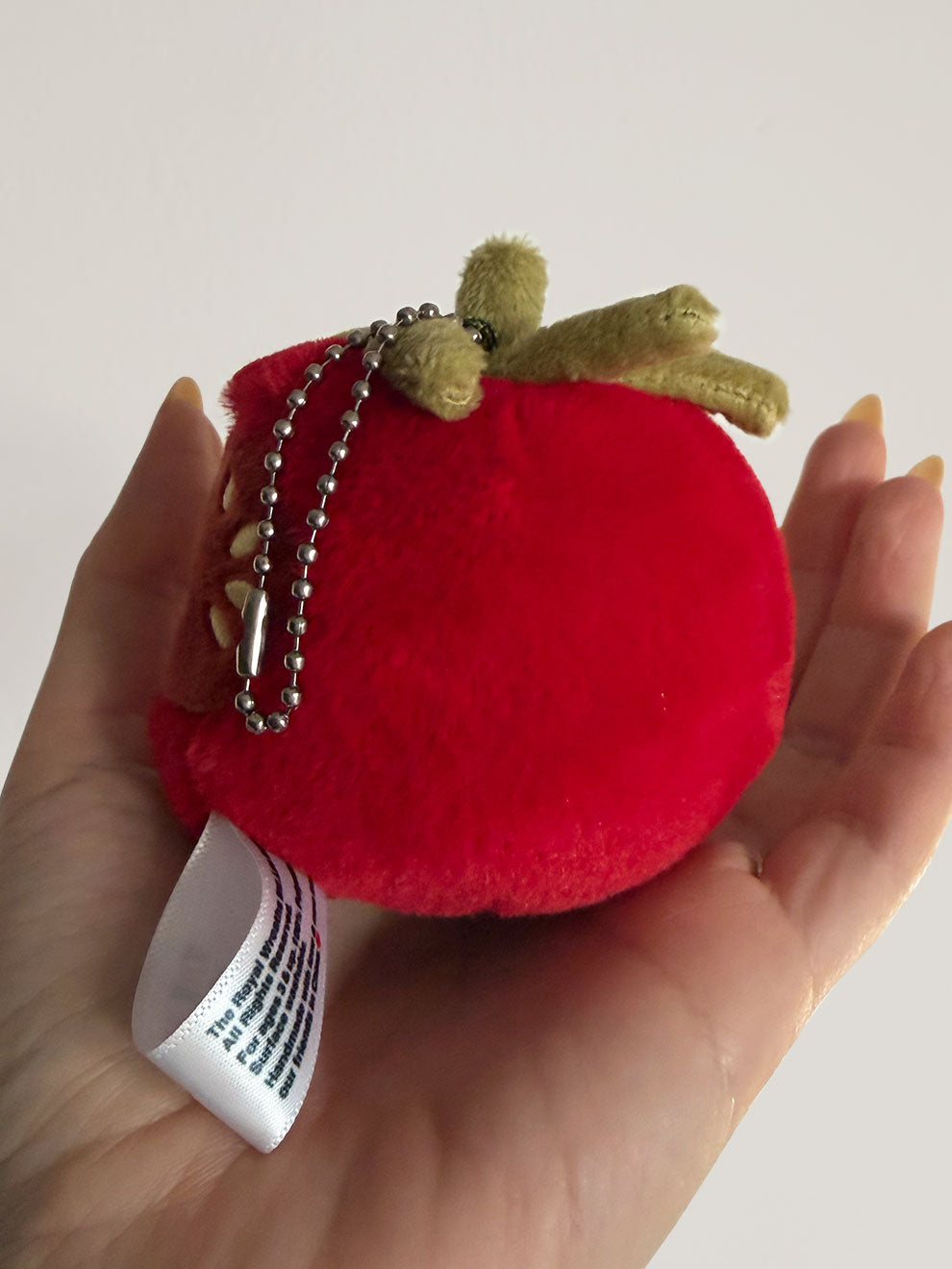 Forgotten Bitten Tomato