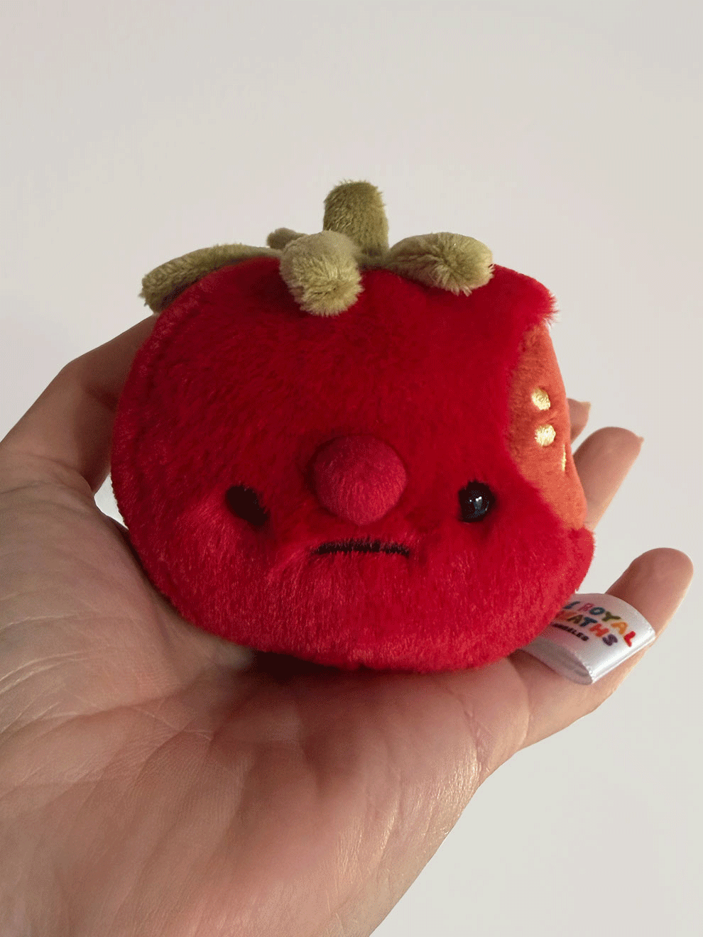 Forgotten Bitten Tomato