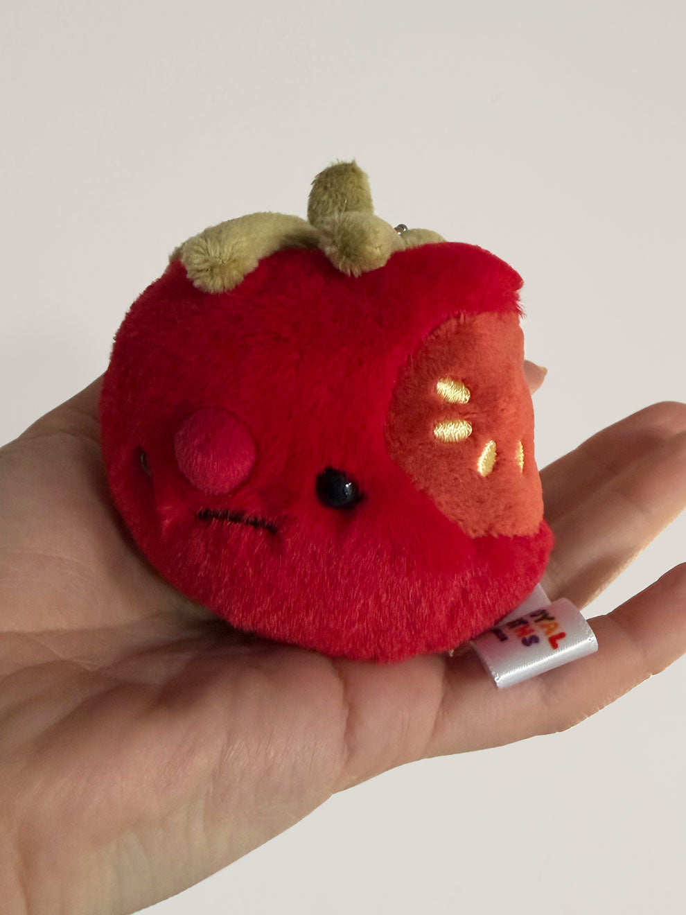 Forgotten Bitten Tomato