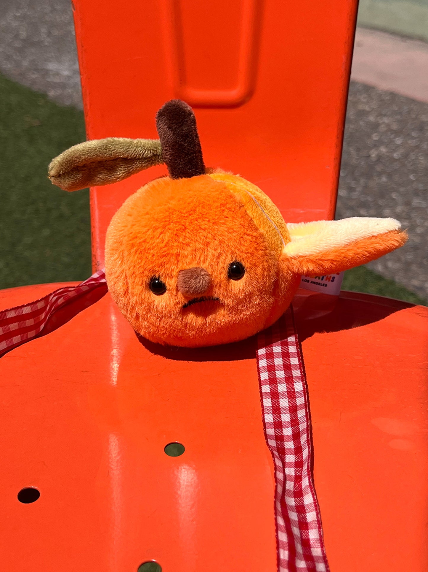 Forgotten Half-Peeled Orange