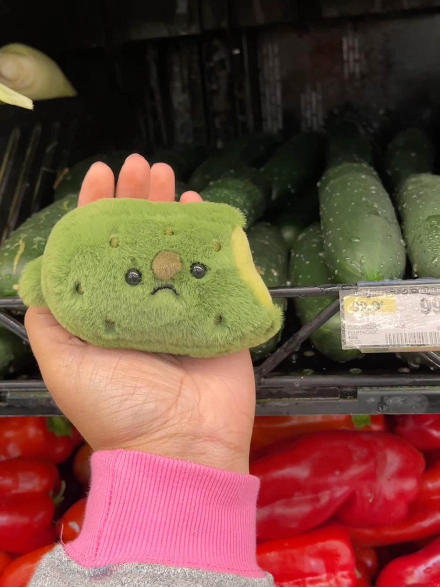 Forgotten Bitten Pickle