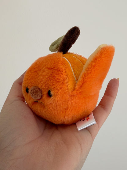 Forgotten Half-Peeled Orange