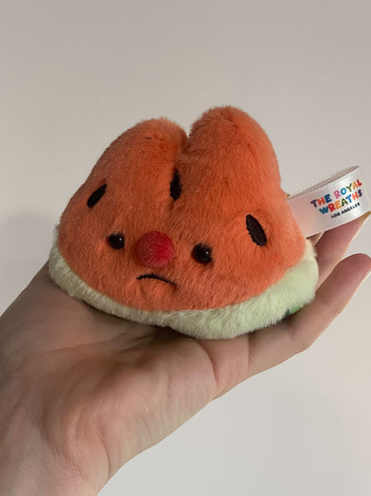 Forgotten Bitten Watermelon Slice