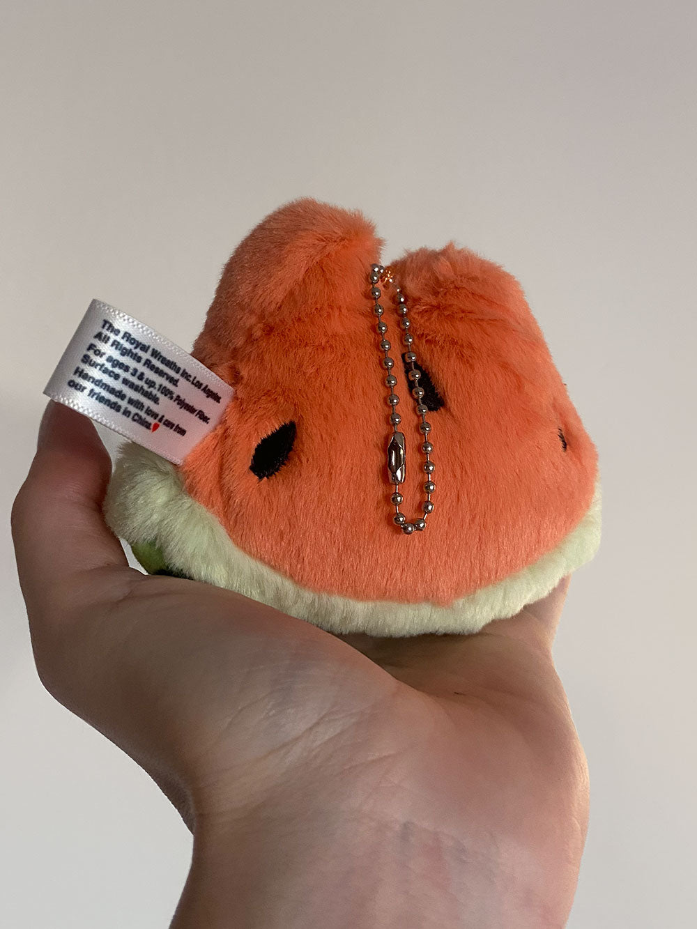 Forgotten Bitten Watermelon Slice