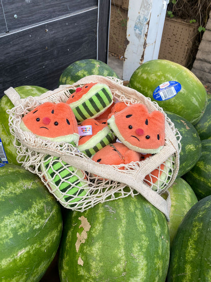Forgotten Bitten Watermelon Slice
