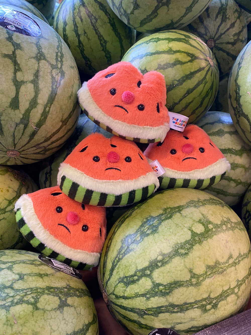 Forgotten Bitten Watermelon Slice