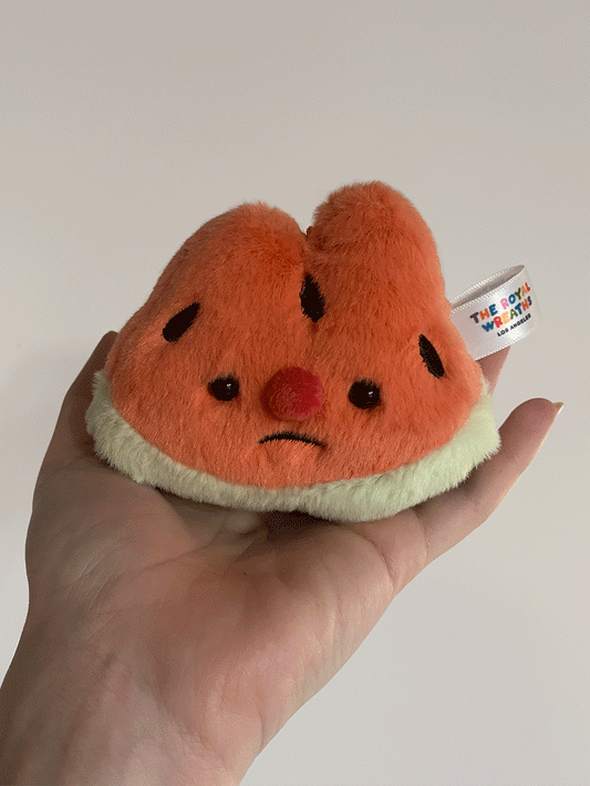 Forgotten Bitten Watermelon Slice