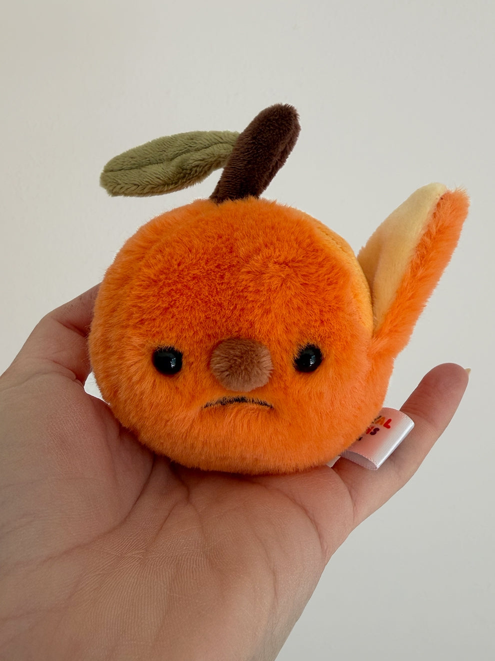 Forgotten Half-Peeled Orange