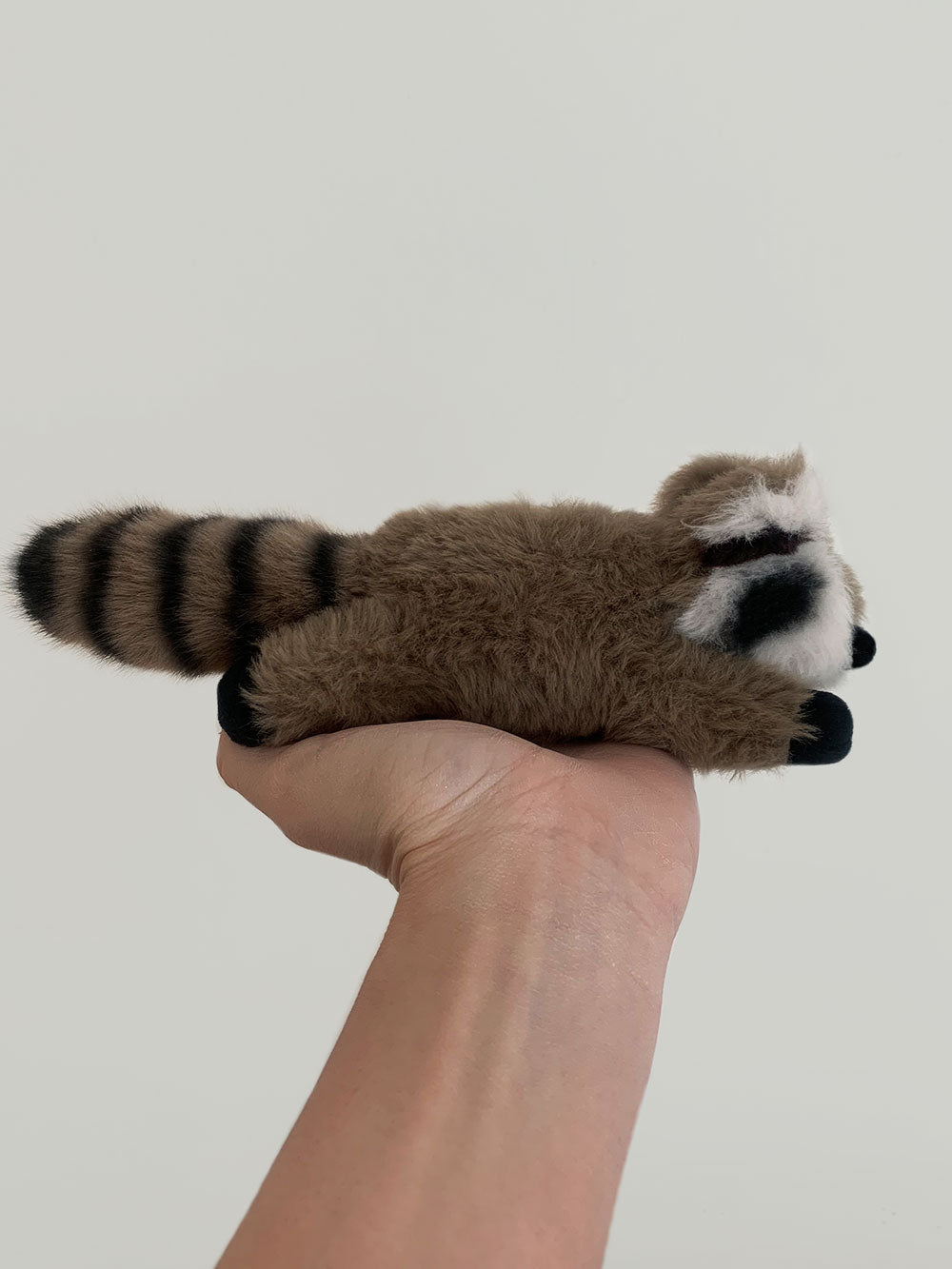 Raymond The Raccoon - Pre Order Ships By Dec