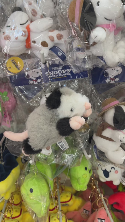 Forgotten Peter the Opossum