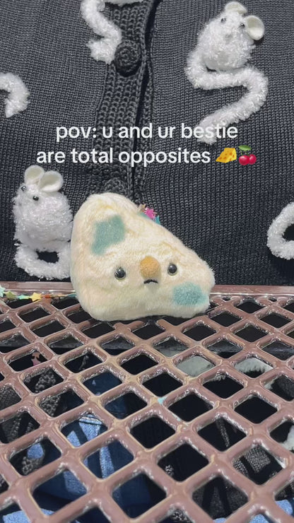 Forgotten Moldy Parmesan Cheese