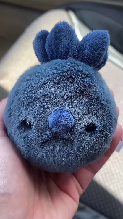 Forgotten Single Blueberry