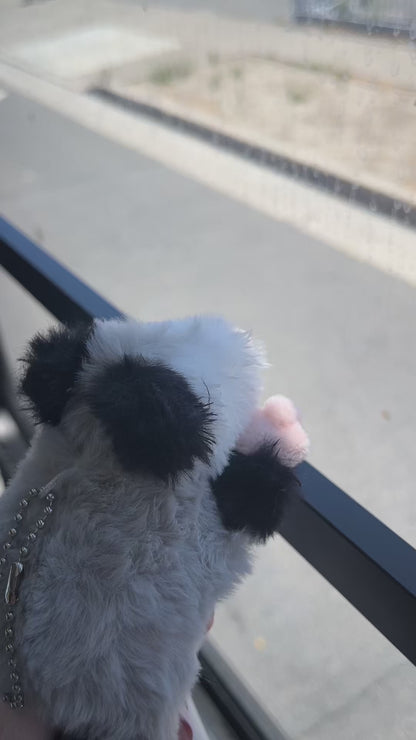 Forgotten Peter the Opossum
