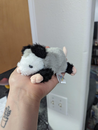 Forgotten Peter the Opossum