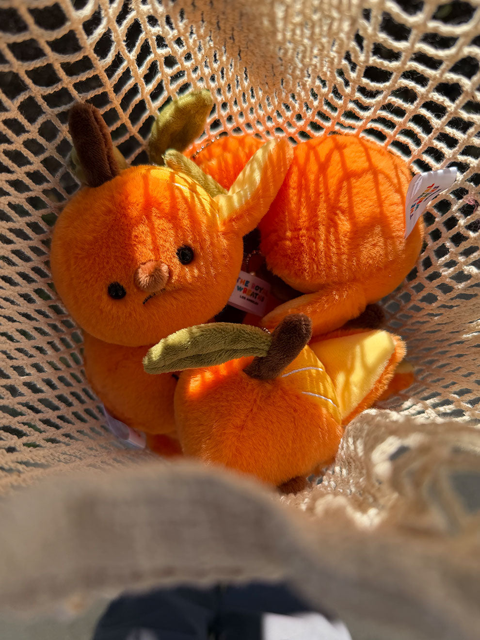 Forgotten Half-Peeled Orange